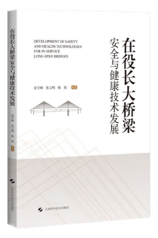 在役長(zhǎng)大橋梁.png